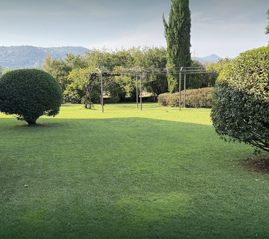 Giardino con siepi sagomate